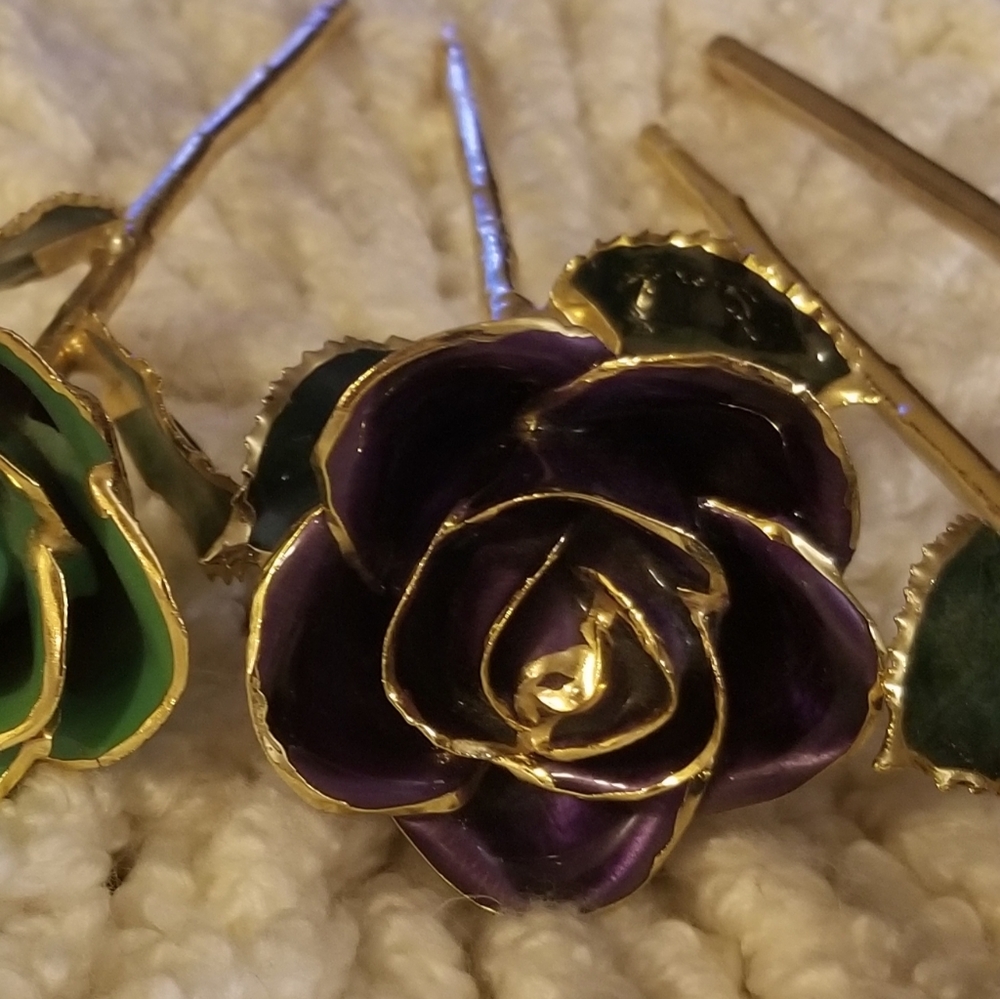 Gold Dipped Roses - Picture 6 of 7